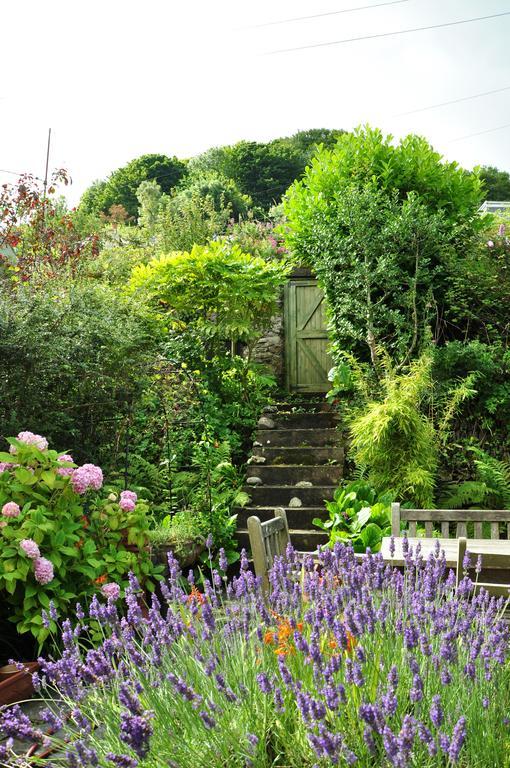 The Fernery B&B Линтон Экстерьер фото