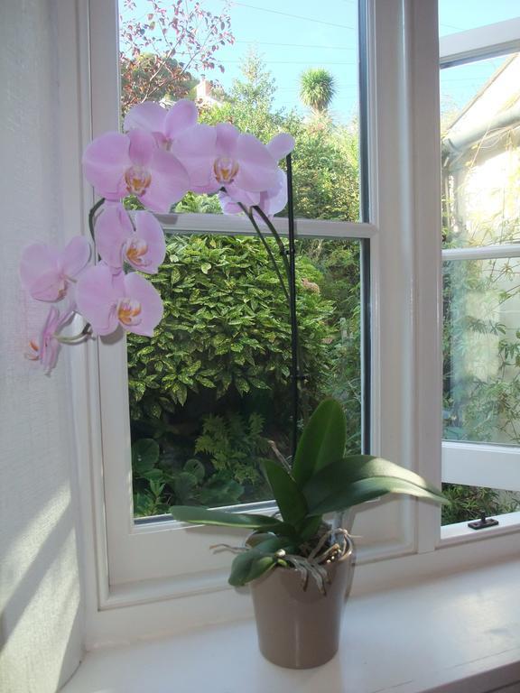The Fernery B&B Линтон Номер фото